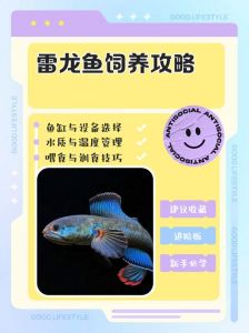 雷龙鱼为什么不建议养_攻击性强需高要求