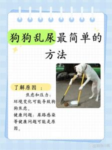 狗狗乱尿最简单的方法_小狗乱尿是没训好，多引导勤带去定点