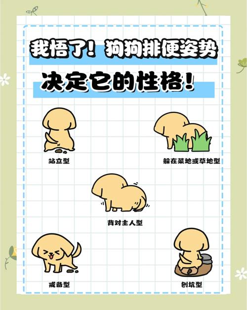 养小狗拉屎怎么解决_狗狗定点大小便,一两周速成训练法 养小狗拉屎怎么解决_狗狗定点大小便,一两周速成训练法