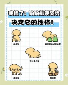 养小狗拉屎怎么解决_狗狗定点大小便，一两周速成训练法