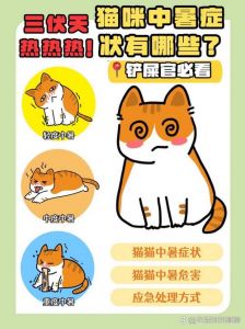室内30度猫咪怕不怕热_猫咪怕热，散热难，高温注意防中暑