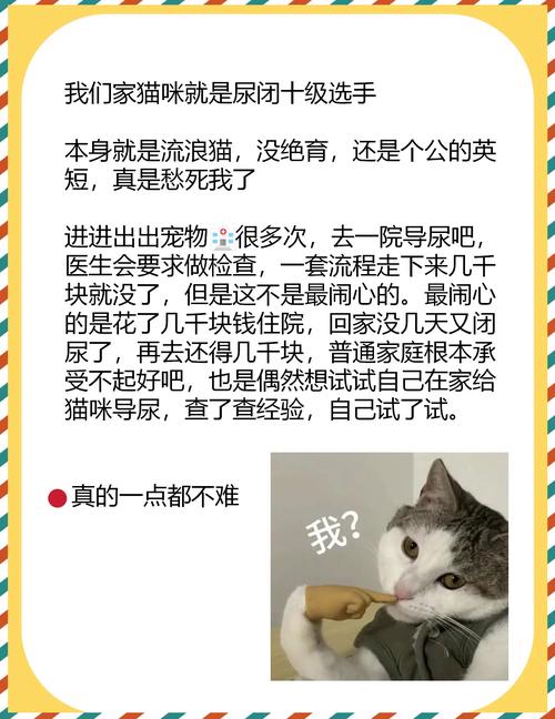 猫在主人身上尿尿代表_猫咪在你身上尿尿怎么办?关注健康,保持猫砂盆干净! 猫在主人身上尿尿代表_猫咪在你身上尿尿怎么办?关注健康,保持猫砂盆干净!