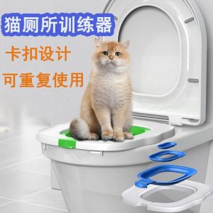 猫上厕所训练_选对猫砂盆和砂，放通风处，耐心引导，保持干净