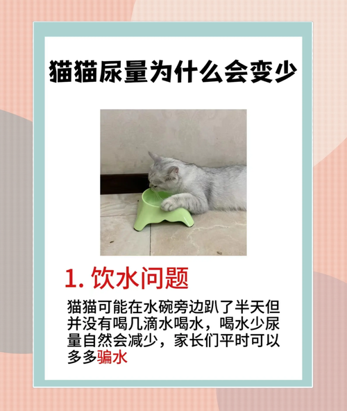 猫尿味道为什么持久那么时间_猫尿味难闻?科学除味超简单! 猫尿味道为什么持久那么时间_猫尿味难闻?科学除味超简单!