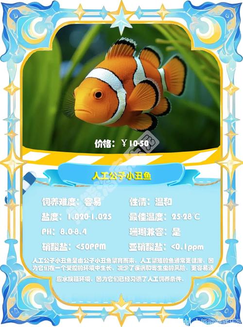 人工淡水小丑鱼_淡水养小丑鱼可行吗？