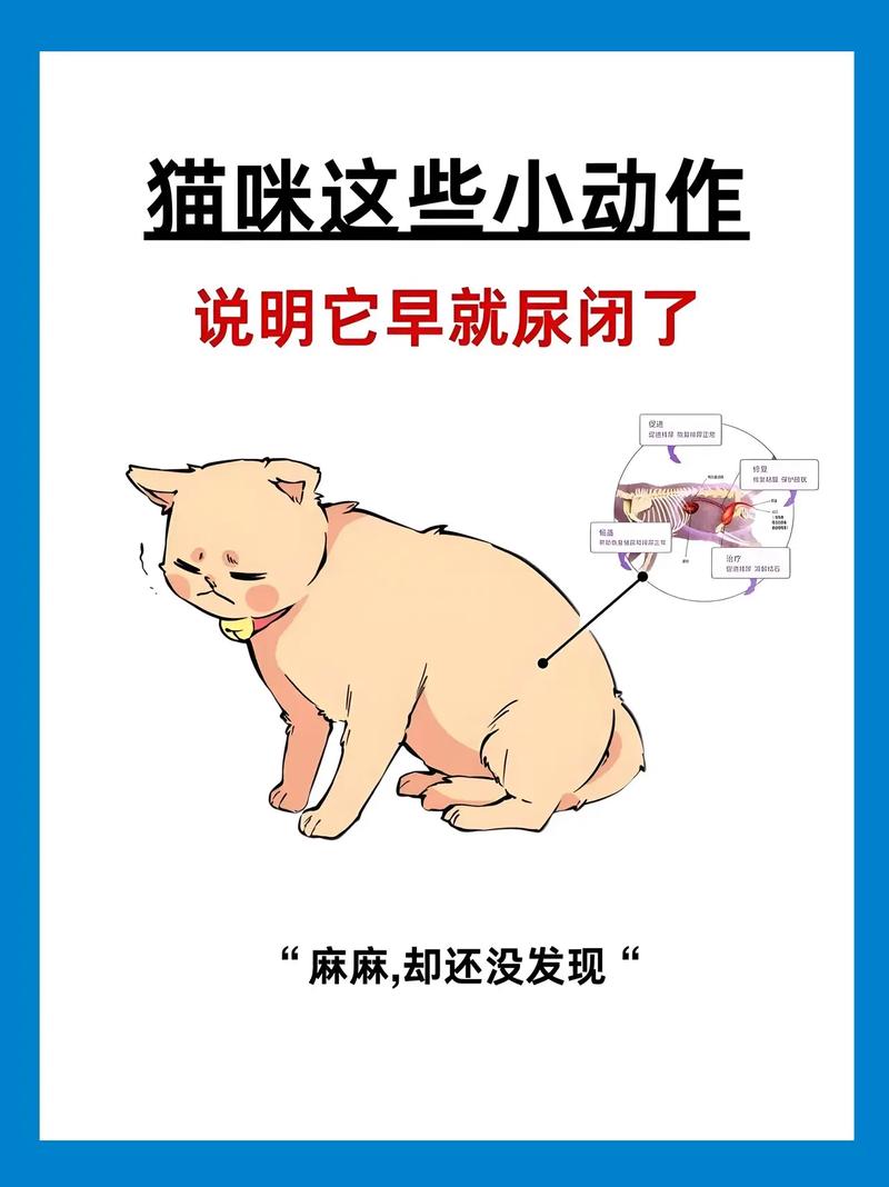猫怕什么气味防止乱拉尿_猫讨厌的气味,防乱尿抓家具 猫怕什么气味防止乱拉尿_猫讨厌的气味,防乱尿抓家具