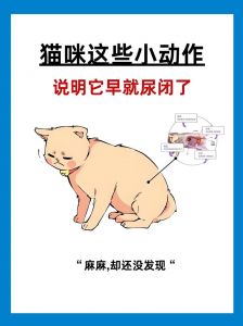猫怕什么气味防止乱拉尿_猫讨厌的气味，防乱尿抓家具