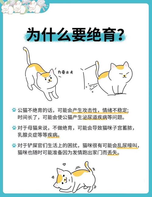猫咪绝育活的更久吗_猫咪绝育寿命长,健康快乐更幸福 猫咪绝育活的更久吗_猫咪绝育寿命长,健康快乐更幸福
