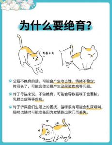 猫咪绝育活的更久吗_猫咪绝育寿命长，健康快乐更幸福