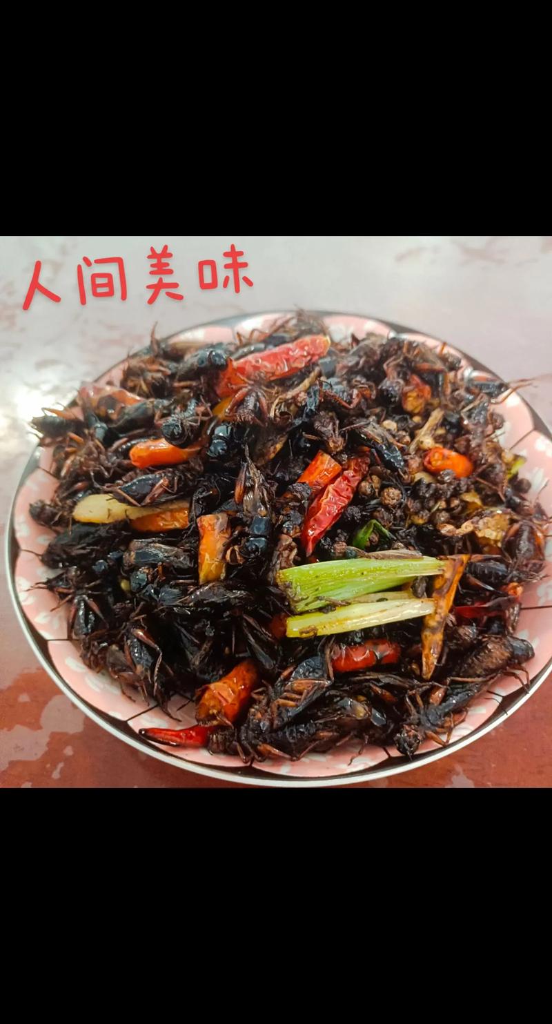 蟋蟀吃什么才能养活_蟋蟀吃什么?食物种类与喂养指南 蟋蟀吃什么才能养活_蟋蟀吃什么?食物种类与喂养指南