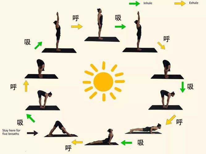 鸟狗式正确训练方法_鸟狗式练竖脊肌 缓解腰背疼痛 鸟狗式正确训练方法_鸟狗式练竖脊肌 缓解腰背疼痛