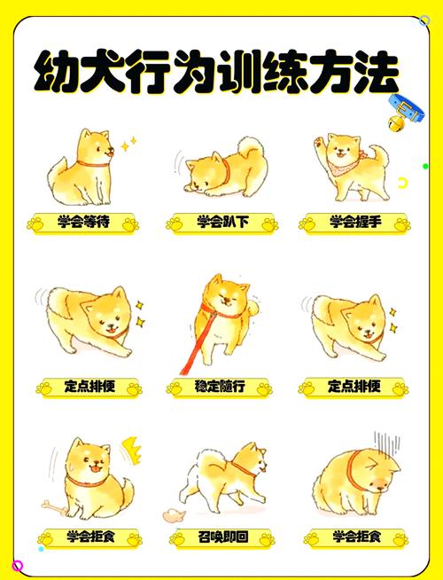 训狗第一步要做什么_科学训狗,耐心引导,狗狗更乖 训狗第一步要做什么_科学训狗,耐心引导,狗狗更乖