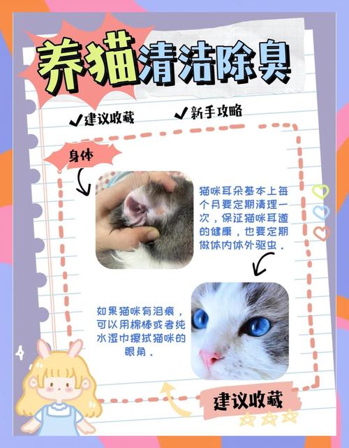 家里养猫如何消除异味_勤清理猫砂盆,除异味妙招! 家里养猫如何消除异味_勤清理猫砂盆,除异味妙招!