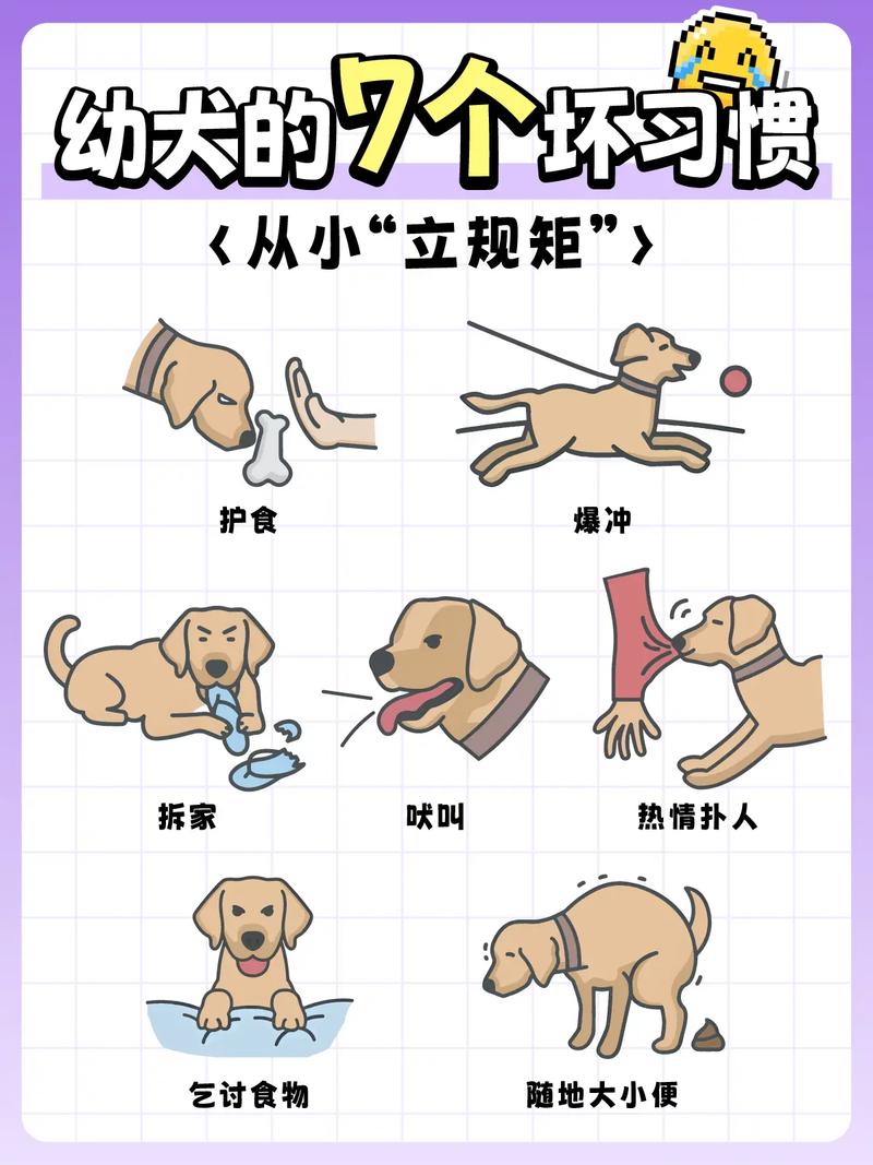 养狗需要注意的事项和细节_狗狗脚边睡是信任,养狗要耐心负责 养狗需要注意的事项和细节_狗狗脚边睡是信任,养狗要耐心负责