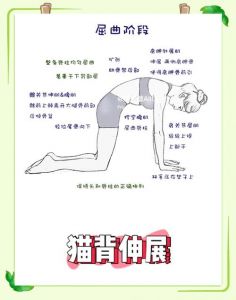 猫驼式训练_缓解久坐僵硬，灵活脊柱！