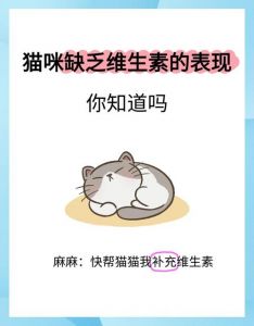 3个月的幼猫要吃维生素吗_营养关键看专业粮