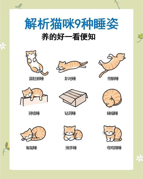 让猫上床睡觉会怎么样_猫咪上床弊端多,睡眠健康有隐患 让猫上床睡觉会怎么样_猫咪上床弊端多,睡眠健康有隐患