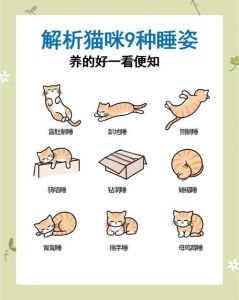 让猫上床睡觉会怎么样_猫咪上床弊端多，睡眠健康有隐患