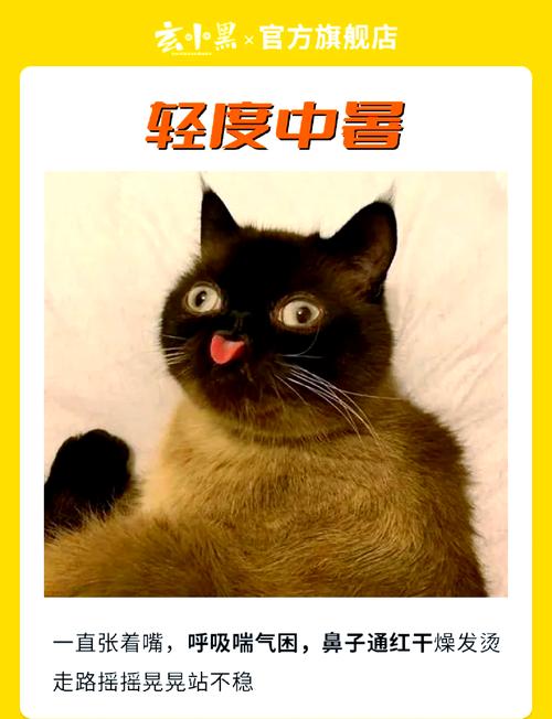 夏天猫咪怕热吗_警惕!猫咪怕热中暑,注意车中和饮食 夏天猫咪怕热吗_警惕!猫咪怕热中暑,注意车中和饮食