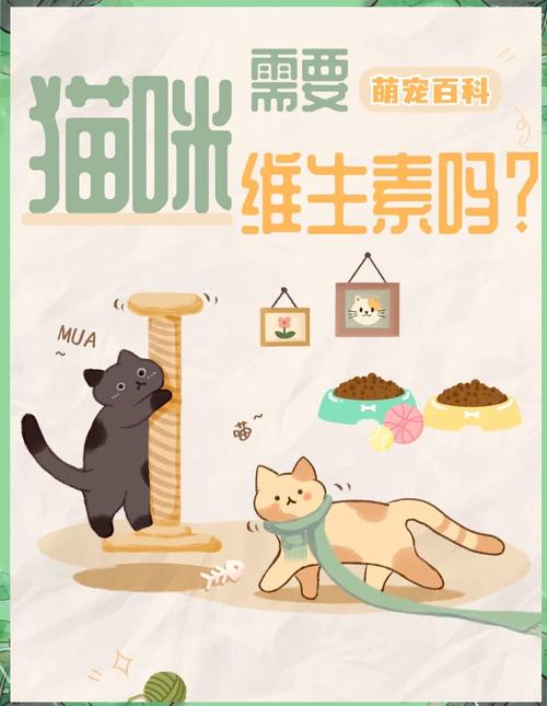 猫掉毛吃维生素b1还是b6_猫咪掉毛多?B族维生素来帮忙! 猫掉毛吃维生素b1还是b6_猫咪掉毛多?B族维生素来帮忙!