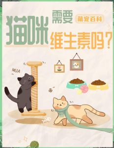 猫掉毛吃维生素b1还是b6_猫咪掉毛多？B族维生素来帮忙！