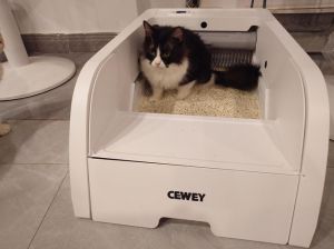 猫猫为什么能自己找到猫砂盆_猫咪自主如厕靠本能，母猫引导加清洁砂盆很关键