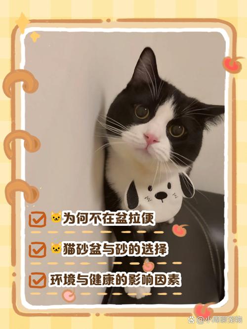 猫突然不用猫砂盆拉屎_猫咪乱拉屎?清洁位置砂料是关键! 猫突然不用猫砂盆拉屎_猫咪乱拉屎?清洁位置砂料是关键!