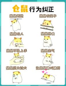 养仓鼠的注意事项20个_细心观察，健康快乐
