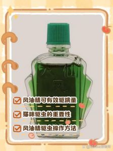 猫闻了风油精会死吗_风油精对猫有毒，远离为安