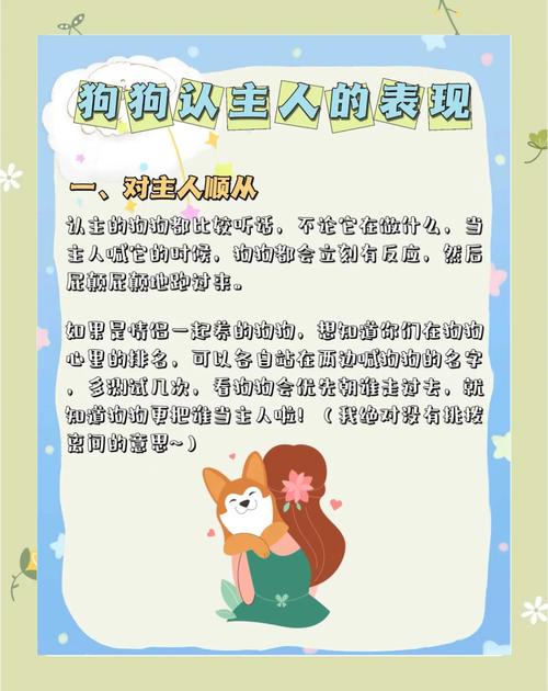 那些细节看出狗狗把你当主人_狗狗忠诚护主,从细节暖人心 那些细节看出狗狗把你当主人_狗狗忠诚护主,从细节暖人心