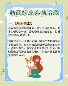 那些细节看出狗狗把你当主人_狗狗忠诚护主，从细节暖人心