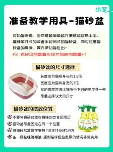 猫多大会用猫砂_小奶猫25天学用砂盆，选对盆砂耐心引导