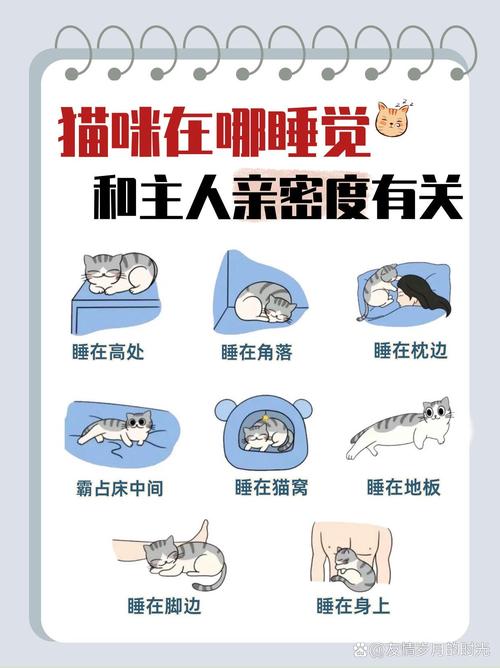 猫跑到床上睡有什么意义_猫咪睡你床上，把你当成了妈妈，喜欢你的气味，在你身边感到安全，觉得你的床温暖舒适，这是猫咪表达爱的方式