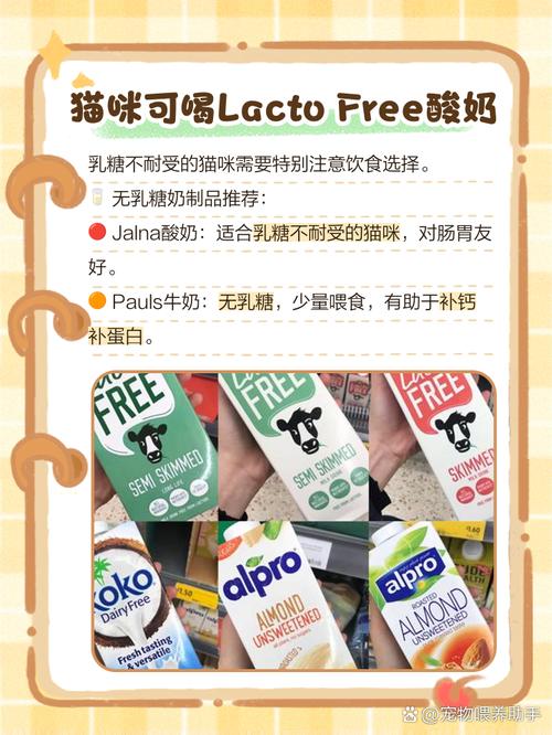 猫可以喝酸奶么_猫可适量食原味无糖酸奶助消化,注意观察防腹泻 猫可以喝酸奶么_猫可适量食原味无糖酸奶助消化,注意观察防腹泻