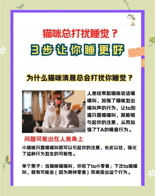 怎样训练猫睡自己的窝_软暖安全,放角落放毯子,多猫分开放 怎样训练猫睡自己的窝_软暖安全,放角落放毯子,多猫分开放