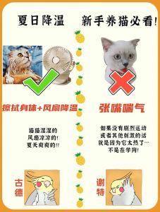 夏天室内30度猫咪会热死吗_正确降温方法