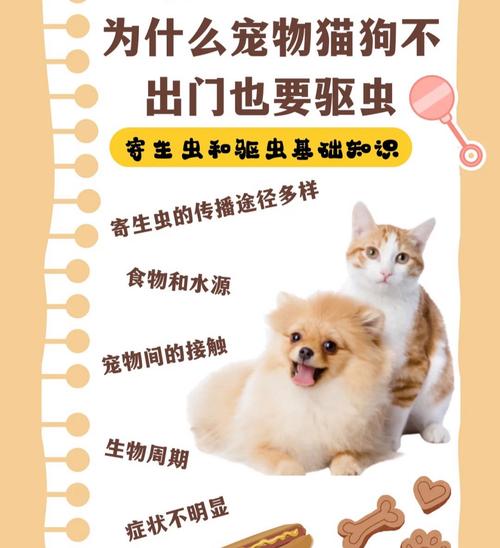 狗和猫上床有什么危害_与宠物同床隐患多,健康风险需注意 狗和猫上床有什么危害_与宠物同床隐患多,健康风险需注意