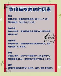 猫多大才算成年了_出生到成熟需多久？