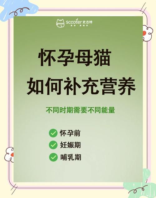 猫维生素e的补充方法_维生素E养猫必备,护毛养肤促健康 猫维生素e的补充方法_维生素E养猫必备,护毛养肤促健康