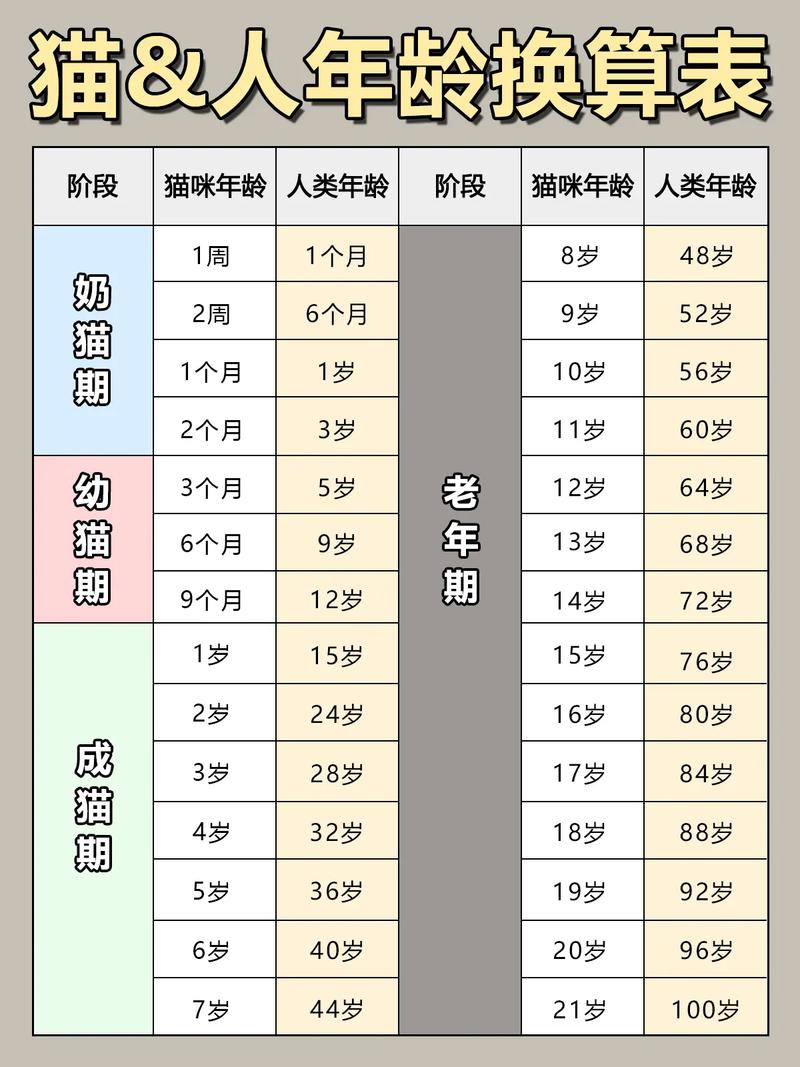 10个月的猫咪相当于多少岁的人_十个月猫精力旺盛?绝育好习惯养起 10个月的猫咪相当于多少岁的人_十个月猫精力旺盛?绝育好习惯养起