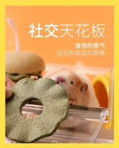 啥东西代替仓鼠磨牙棒_天然枝条安全磨牙，矿物盐防潮，塑料坚果壳慎用