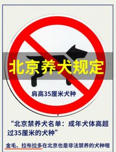 养狗注意事项禁止_太原禁养大型犬 新手养狗避坑指南