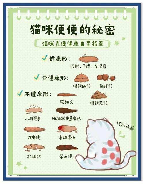 猫猫几天不拉屎是怎么回事_猫咪便秘怎么办?饮食运动是关键 猫猫几天不拉屎是怎么回事_猫咪便秘怎么办?饮食运动是关键