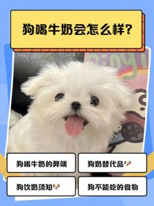 狗喝了纯牛奶怎么补救_狗狗喝牛奶怎么办？注意观察防腹泻！