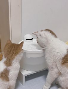 猫喝白开水还是纯净水_白开水加鸡汤，流动饮水机！