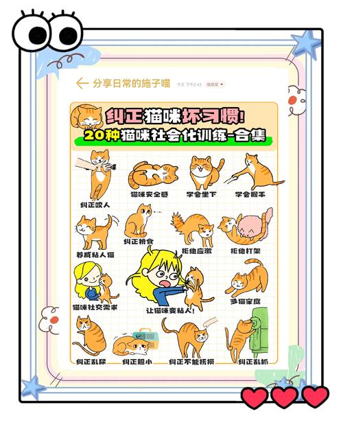 如何训练幼猫不咬人_幼猫咬人怎么办?科学纠正方法 如何训练幼猫不咬人_幼猫咬人怎么办?科学纠正方法