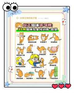 如何训练幼猫不咬人_幼猫咬人怎么办？科学纠正方法