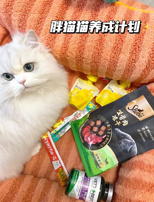 适合猫咪吃的零食推荐_选对猫零食,健康又美味! 适合猫咪吃的零食推荐_选对猫零食,健康又美味!