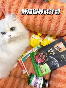 适合猫咪吃的零食推荐_选对猫零食，健康又美味！