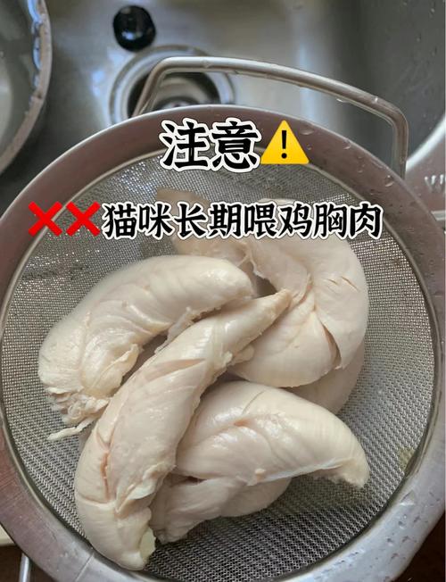 猫第一次吃鸡胸肉反应很大_警惕!猫咪吃鸡胸肉,生食有风险,煮熟辅食更安全! 猫第一次吃鸡胸肉反应很大_警惕!猫咪吃鸡胸肉,生食有风险,煮熟辅食更安全!